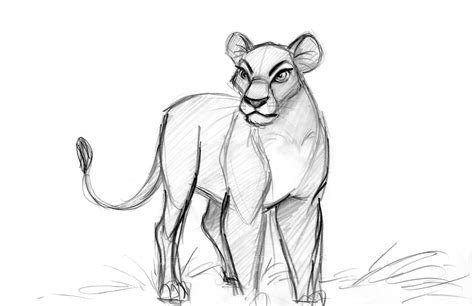 So there will be two videos and step by step images for both of the tutorials. Nala02.jpg | Lion king art, Disney concept art, Lion king drawings