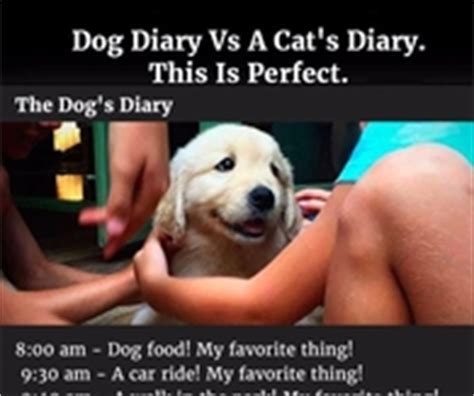 Dog's diary vs cat's diary. Christmas Cats Pictures, Photos, and Images for Facebook ...