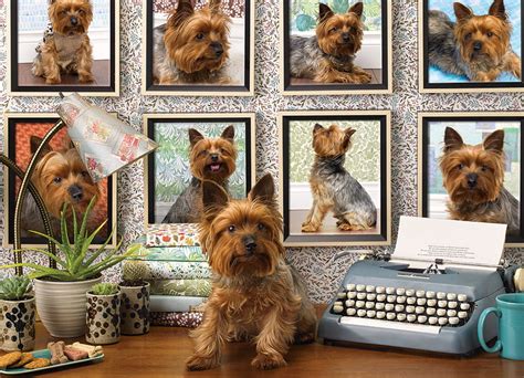 A pure delight for all ages! COBBLE HILL PUZZLE - Yorkies are my Type 1000 Piece ...