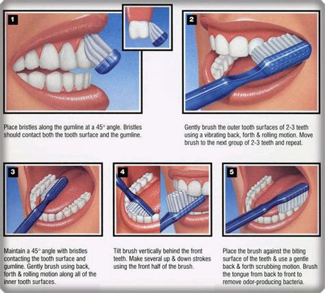 Cara sikat gigi dengan benar (animasi) 2021, mungkin. cara nak berus gigi dengan betul, guna floss & cuci lidah ...