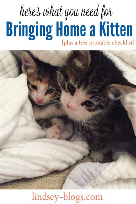 Free pets in ct has 9,674 members. Checklist for Bringing New Kitten Home Free Printable
