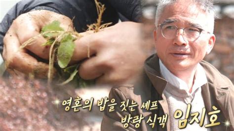 지금까지 이런 정글 만찬은 없었다 음식으로 그림 그리는 임지호 셰프 ㅣ정글의 법칙 jungle ㅣsbs enter. 집사부일체 : '방랑식객' 임지호, 튼튼 캠프 마지막 사부 등장 ...