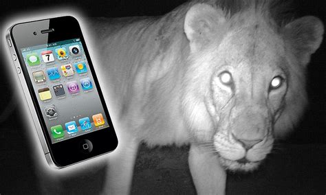 Maybe you would like to learn more about one of these? iPhone app Instant WILD lets users see LIVE pictures of ...