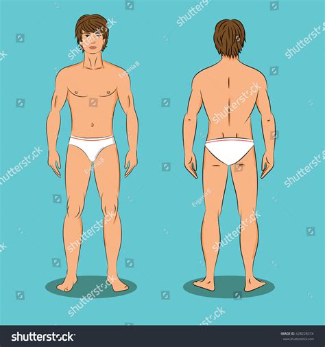 Research shows that 90 percent of teen boys exercise with the . Mans Body Front Back Naked Young Stock Vector 428228374 ...