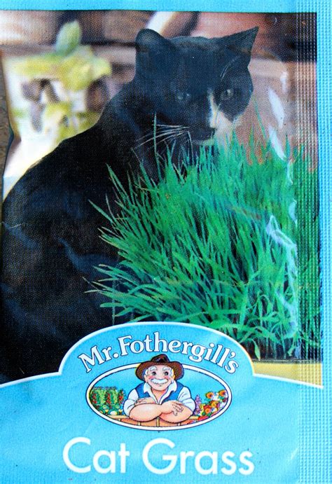 Together with petsmart charities, we help save over 1,500 pets every day through adoption. Florez Nursery: The Cat Grass Kit