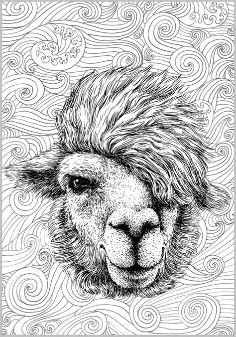 Mandala coloring pages animal coloring pages coloring book pages printable coloring pages alpaca drawing alpacas zentangle drawings zentangles illustration. Alpaca & Llama Cool Collection, PDF Coloring Book For ...
