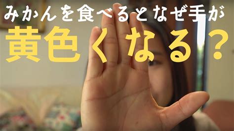 This grammar is used to express to become. みかんを食べると手が黄色くなるのはなぜ？ - YouTube