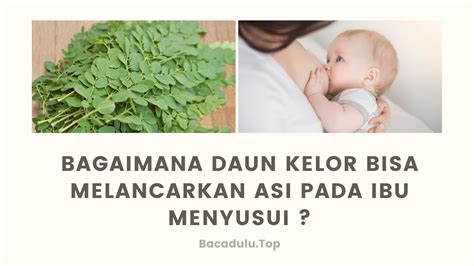 Manfaat daun kelor lain yang tak kalah hebat adalah kemampuannya dalam memperlambat pertumbuhan sel kanker. Cara Mudah Melancarkan Asi Dengan Daun Kelor, Manfaat ...