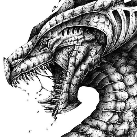 Remember that animals we see on land and in the sky are only half of our animal world. Image result for dragon biro art | Biro art, Mystical animals, Animal art