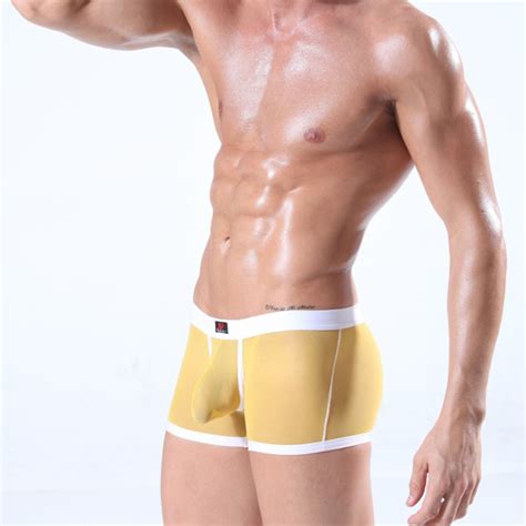 What wrestler do you want to talk you down? Transparent Boxer Briefs Mesh Bulge Pouch Sexy Underwear ...