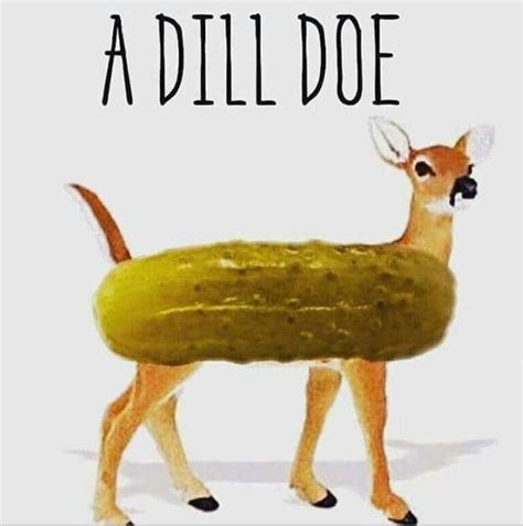 Did you hear about the race between the lettuce and the tomato? Hybrid Animals: Just like normal animals, only not