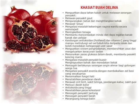 Sekadar perkongsian, khasiat buah delima telah dijumpai sejak 8000 tahun dahulu oleh masyarakat antara yang paling popular ialah jus delima gulsan yang di import terus dari negara turki. Pati Delima Gulsan