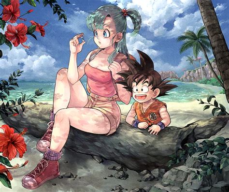 La app de fondos de pantalla de google añade varias categorías de wallpapers a tu smartphone con las imágenes más bonitas de google earth y google +. HD wallpaper: Dragon Ball, Young Bulma, beach, Capsule, Young Goku, anime | Wallpaper Flare