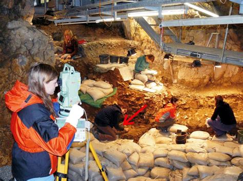The venus of hohle fels is 2.4 inches in height and was carved from the tusk of a woolly mammoth tusk. Excavation Sites for Prehistoric and Ancient Female ...