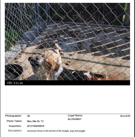 The department will conduct a criminal history background check on all persons who apply for a cat or dog breeder license. Puppy Mill Awareness Southeast Michigan: Allen Mast USDA ...