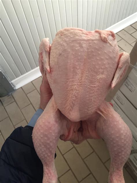 A 4 pound frozen chicken will take 52. Buy FROZEN WHOLE CHICKEN- HALAL in USA from JBSSA AVES LTD ...