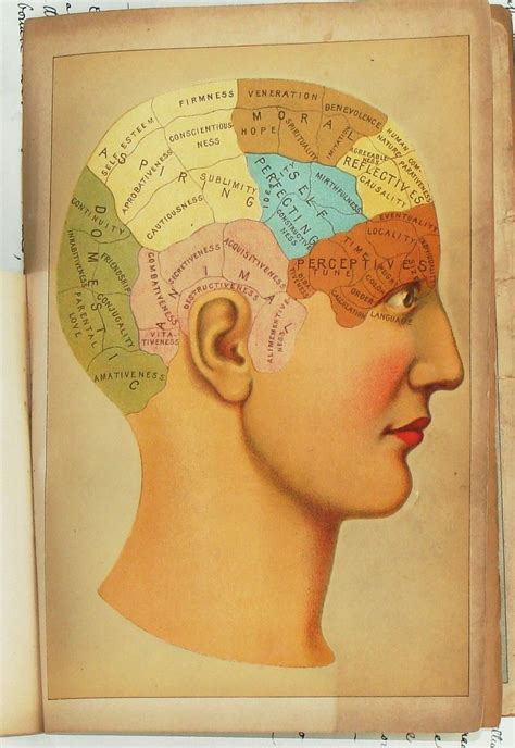 A unbelievable, interactive visible reference with over 300 anatomical buildings. Phrenology 1930s | Vintage medical, Scientific ...