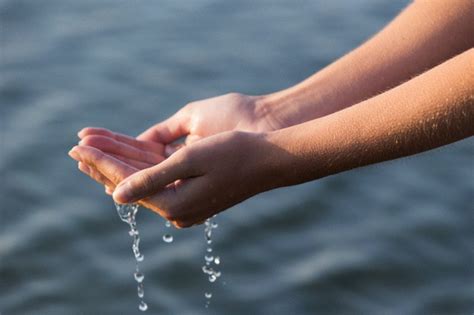 Sedangkan yang lainnya bisa digunakan untuk menghias kolam dan taman di halaman. Islam Indonesia - Islam Untuk Semua » 23 Jenis Air dalam ...