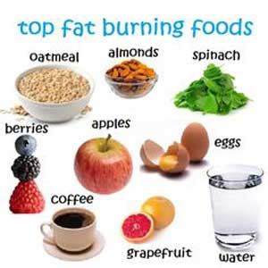 A wide variety of fat burning food options are available to you, such as. Fat Burning Foods for Women