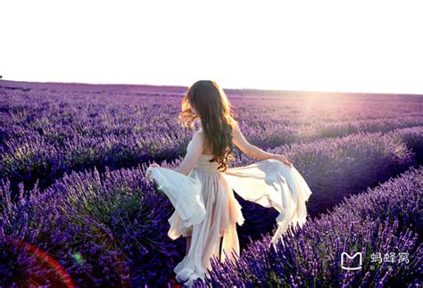 We had them on the ceiling of our bedroom and i remember picking them off. Mi Painting and Wallpaper 416 807 0048: Painting Sherwin ...