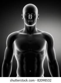 Nevertheless, with some practice, you can still learn to. Human Torso Images, Stock Photos & Vectors | Shutterstock