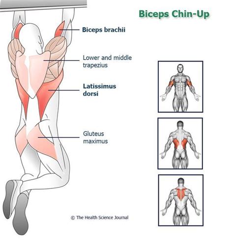 Maybe you would like to learn more about one of these? Bodyweight Tricep Exercises and Bodyweight Bicep Exercises ...