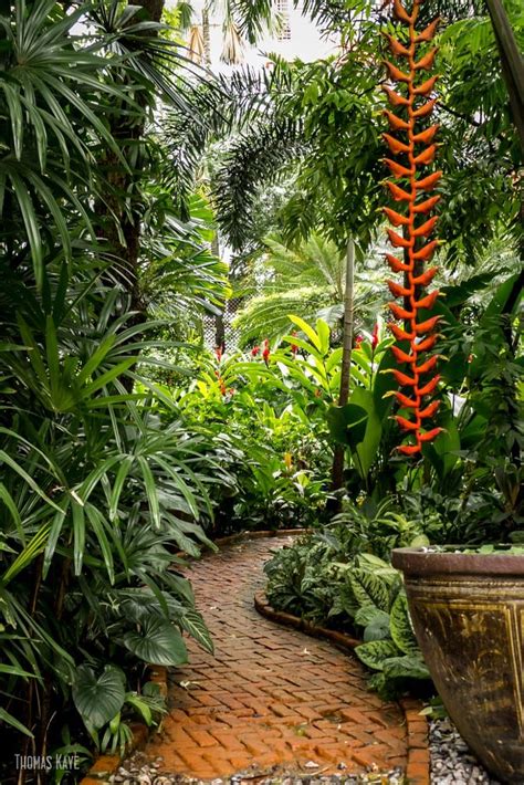 These ideas, including landscaping design, garden ideas, and garden design, will inspire. 470 best tropical landscaping ideas images on Pinterest ...