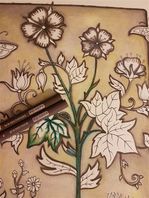 World of flowers by johanna basford pencils: PC1076 PC1054 #WIP Johanna Basford #coloringbooks world of ...