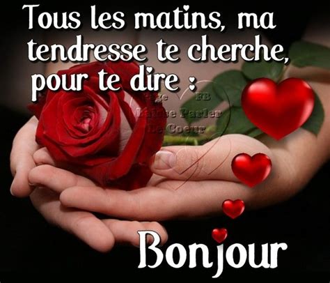 Bonjour image #7588 - Tous les matins, ma tendresse te cherche pour te ...