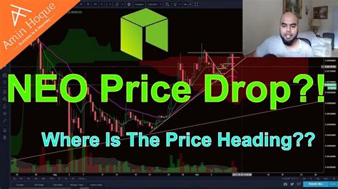 Set the enter initial crypto priceto 10000. NEO Crypto Coin Price Update and Technical Analysis - YouTube