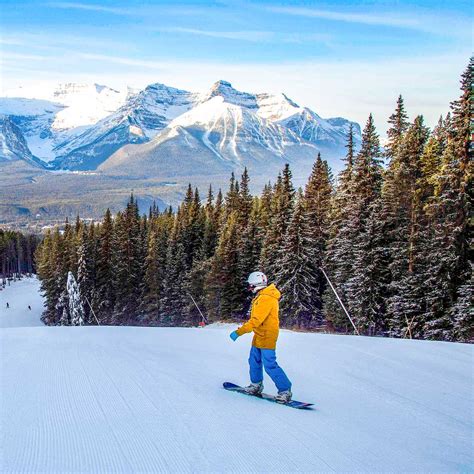 Saw four grizzly's on the way up, one on the way down and two more on the. Lake Louise: Das Skigebiet voller Reize | CANUSA