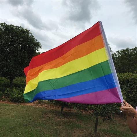 One is a sexual orientation the other is a gender identity. 3x5ft Pride Polyester Flag Bisexual/Asexual/Pansexual ...