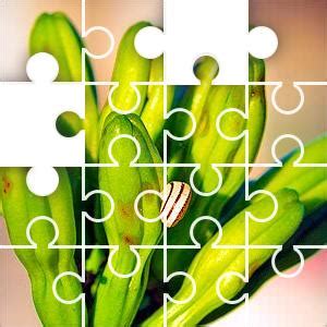 להפסיק לעקוב בטל מעקב אחר @jigzone. Daily Jigsaw Puzzle - Puzzle of the Day - JigZone.com