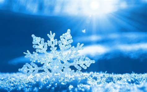 Enjoy this yin yoga for winter sequence, to take advantage of this seasons specialities: Yin yoga XL - Winter | De Aandachtsmederij