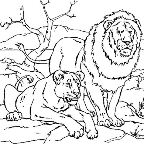 Mandala animaux lion facile dessin de lion a imprimer. Coloriage204: coloriage de lion a imprimer