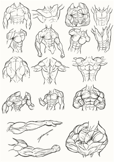 We did not find results for: Male Torso Anatomy 2012 by Juggertha on DeviantArt | Male ...