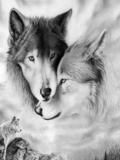 Check spelling or type a new query. Wolf Bilder (Format 240x320)