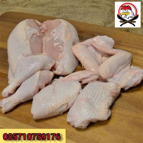 Pemilihan bibit dan calon induk 1.12 12. Jual Ayam potong uk.1,3kg potong 12 - Jakarta Timur ...