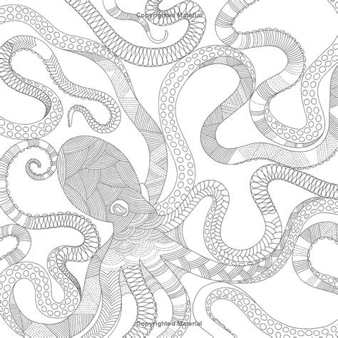 Download Animal Kingdom: Color Me, Draw Me: Millie Marotta ...