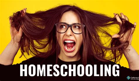 Memes Parents Have Made About Homeschooling Their Kids ...