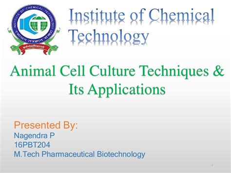 Maybe you would like to learn more about one of these? Animal cell culture techniques