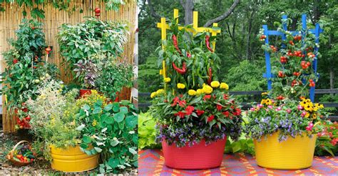 Choose plants (like flowering herbs) that encourage butterflies, ladybirds, bees and other insects into your. 15 Stunning Container Vegetable Garden Design Ideas & Tips ...