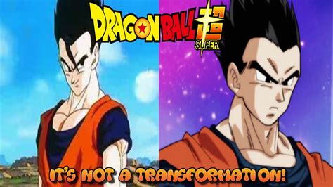 Although i always assumed zeno at the very least. Dragon Ball Super - Misconception of Gohan & Zeno's ...