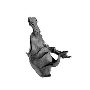 3D Printable Drogon From 