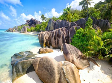 Plus de 120 locations de vacances à partir de € 120 par nuit. Location Seychelles dans un condo pour vos vacances avec IHA