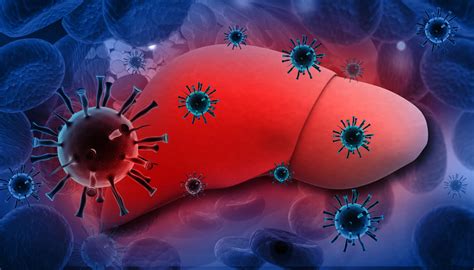 Coxsackieviruses are divided into group a and group b viruses based on early observations of their pathogenicity in neonatal mice. Möglicher Ansatzpunkt für Hepatitis-C-Impfung gefunden