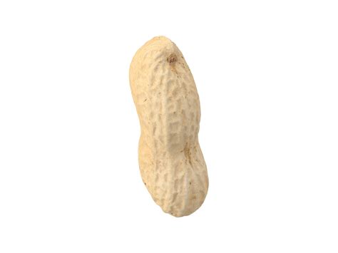 Peanut #1 - creative crops