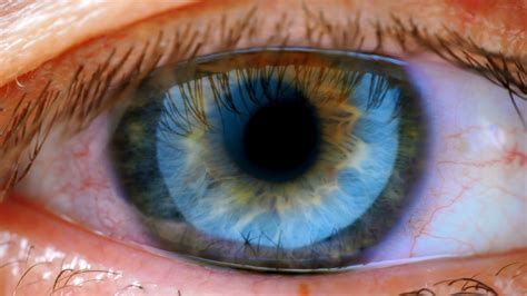Extreme close up human eye iris Stock Footage,#human#close#Extreme#eye | Extreme close up, Human 