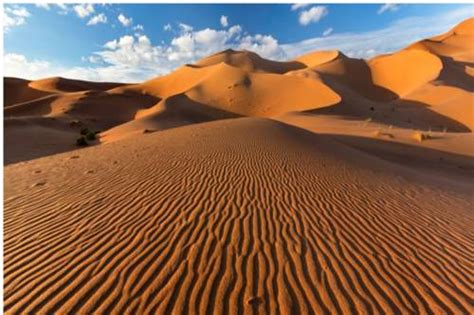 Parked car in the sahara desert. Sahara: il deserto che cambia