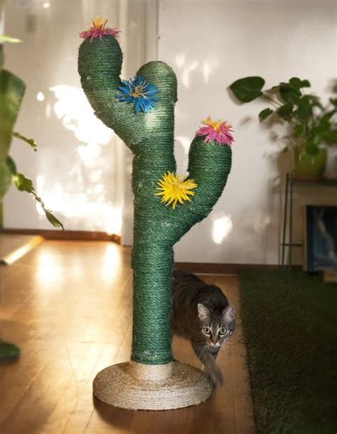 Adorable cactus post is a kind of cactus tree. Best Cat Trees on Amazon - DIY Cat Trees